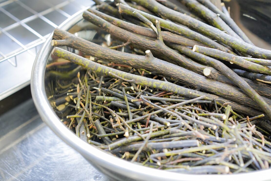 切断したクロモジ