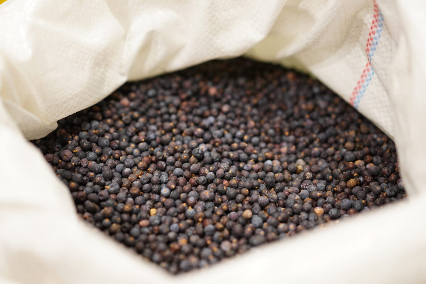 YASOで使用しているジュニパーベリー