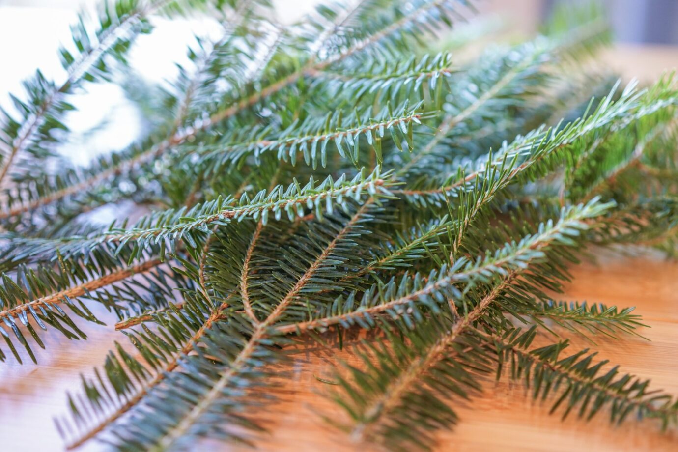 リミテッド12に使用した山梨県産のモミの木